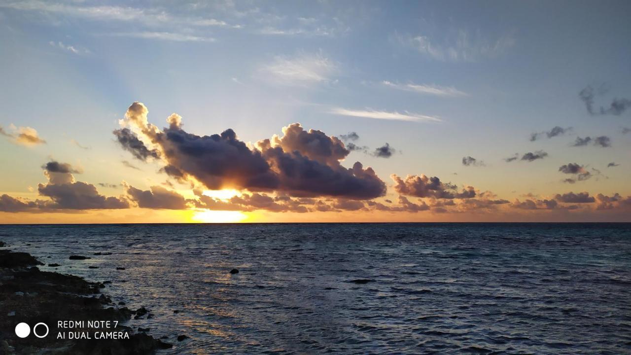 Palapas De