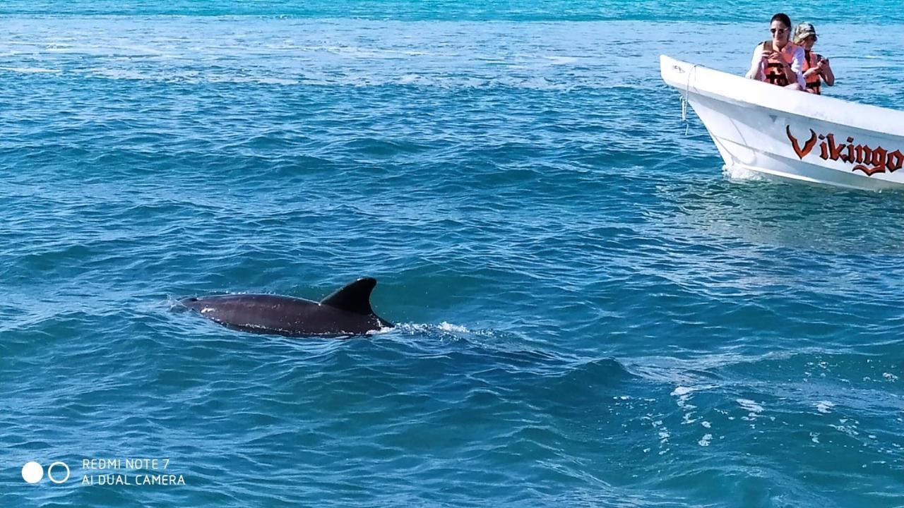 Palapas De Pensión Punta Allen