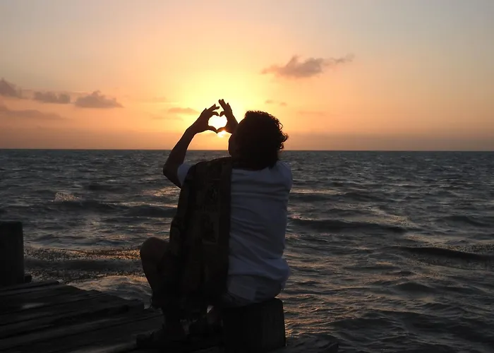 Las Palapas De Punta Allen