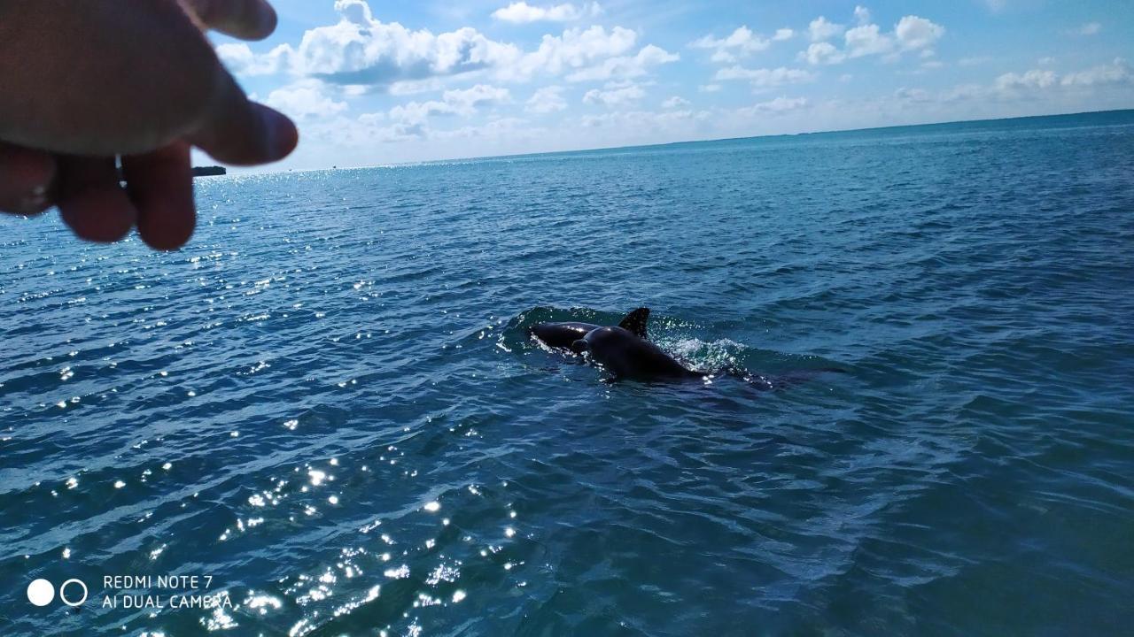 Palapas De * Punta Allen