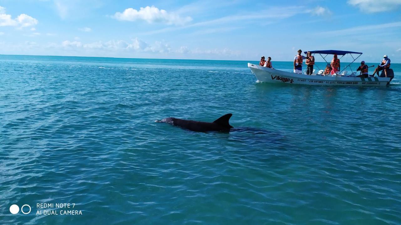 Palapas De