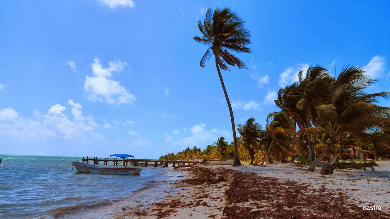Palapas De Punta Allen