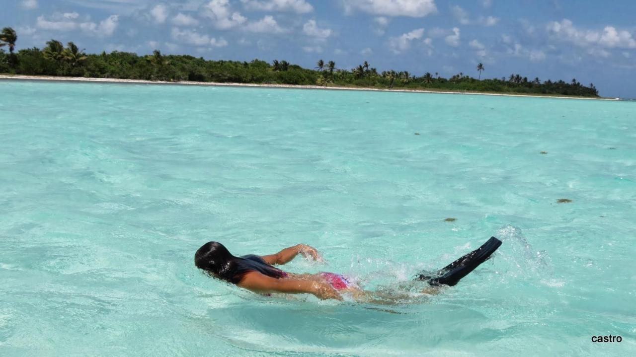 Palapas De * Punta Allen