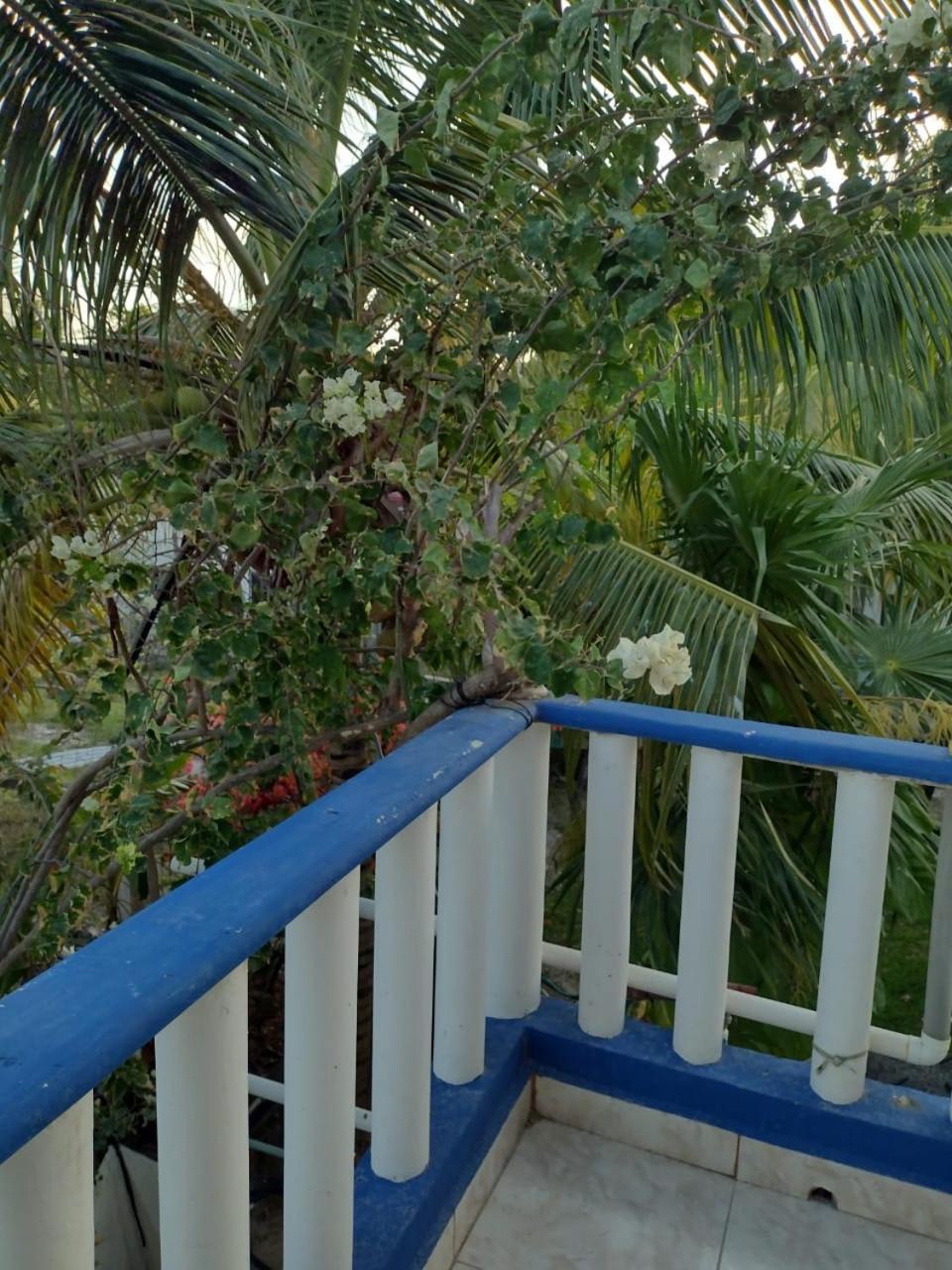 Palapas De Punta Allen