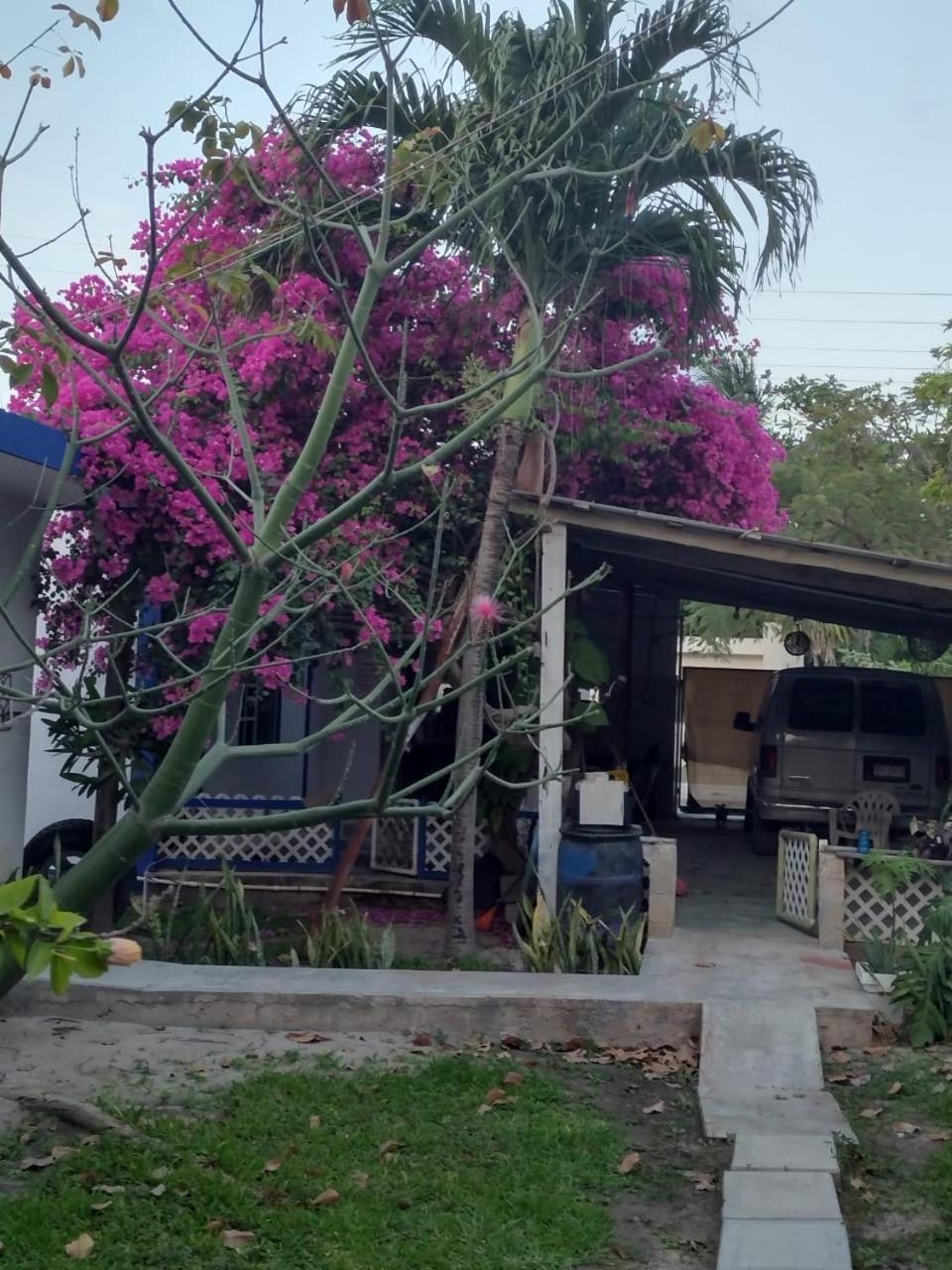 Casa de hóspedes Palapas De Punta Allen