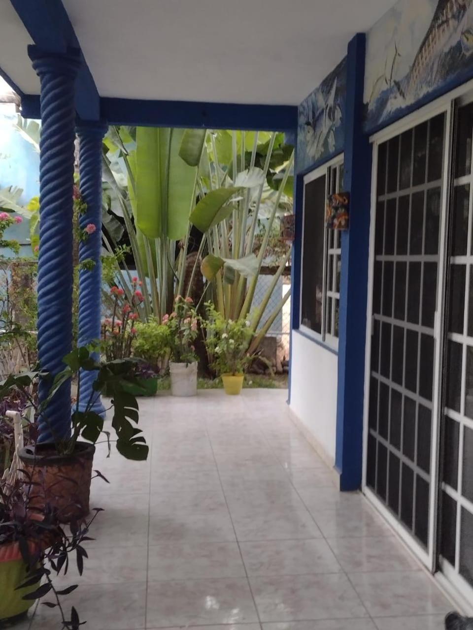 Palapas De