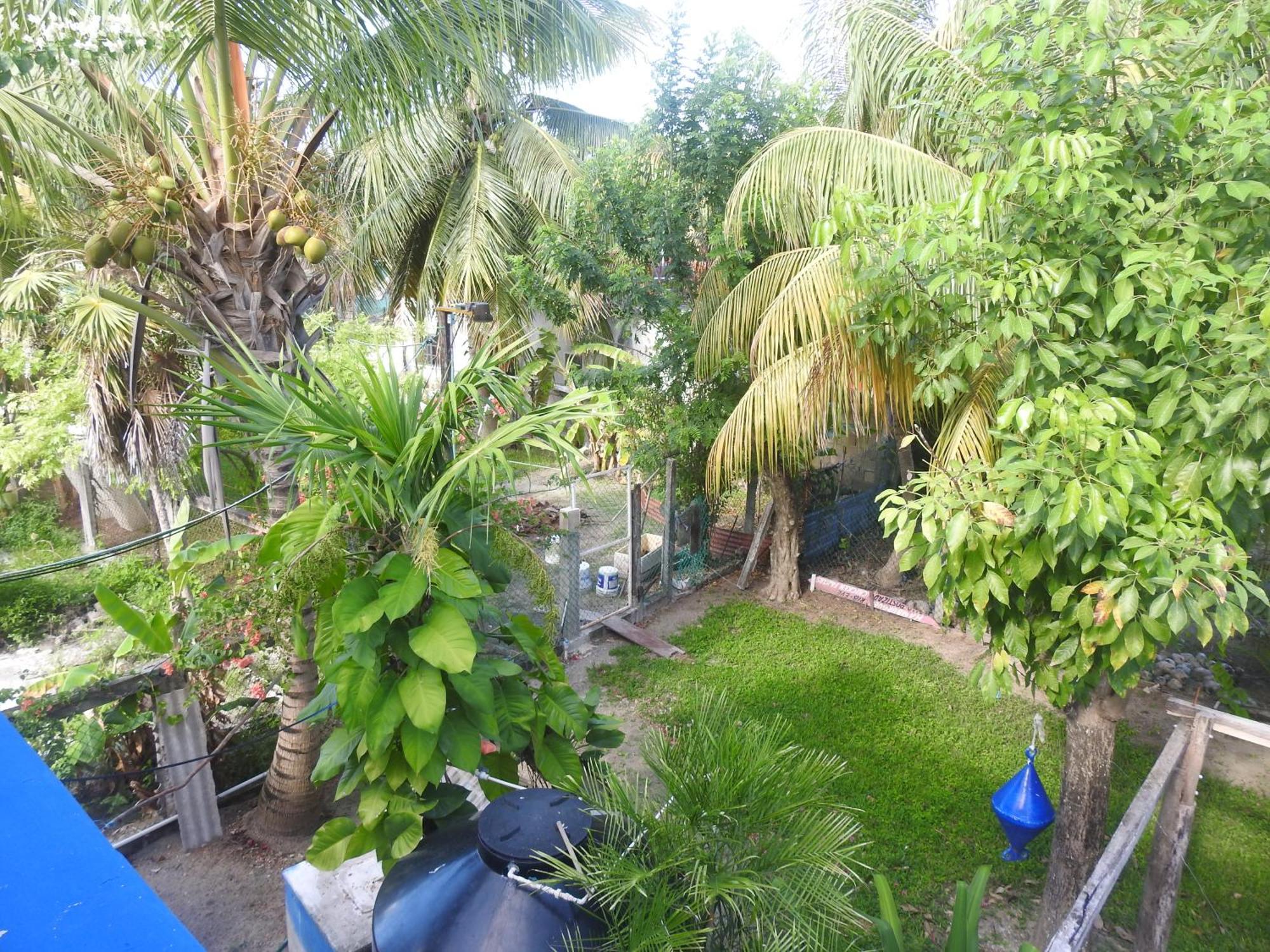 Palapas De Guest house