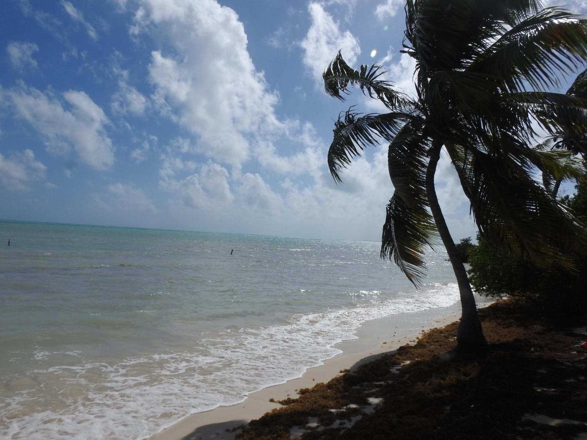Guest house Palapas De Punta Allen