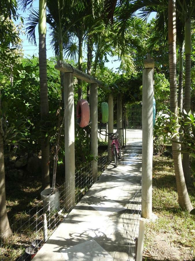 Guest house Palapas De *