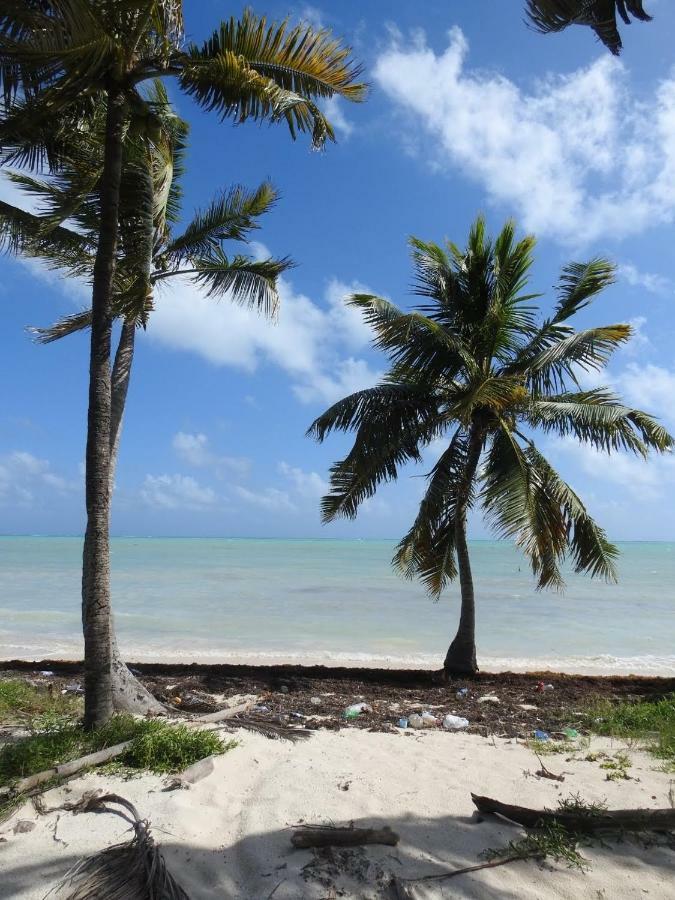 Guest house Palapas De Punta Allen